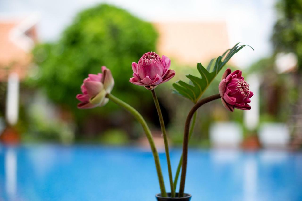 Angkor Privilege Resort & Spa Siem Reap Esterno foto